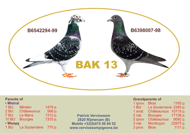 Bak13