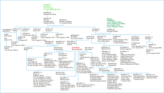 Schema BlauwAgneske