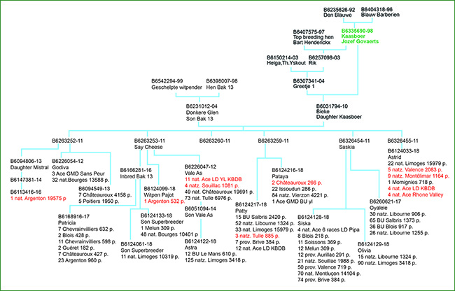 Schema Glen