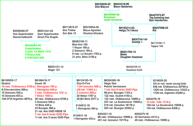 Schema Magic