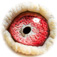 B6023006 16 KlznJulia eye
